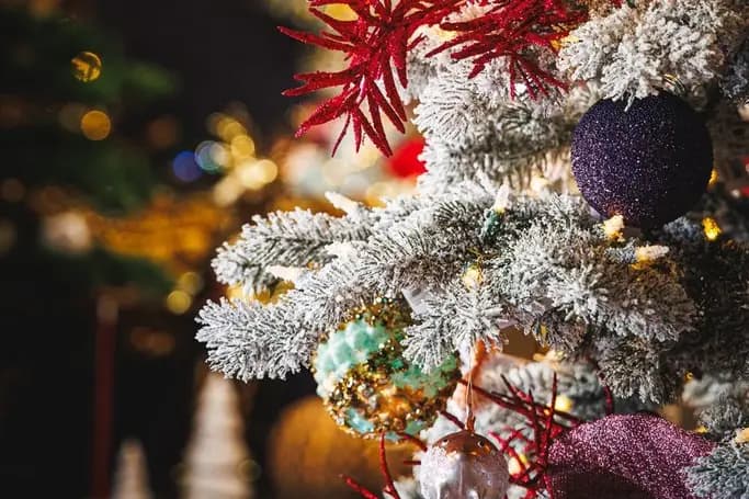 Noël Eternel — photo 7