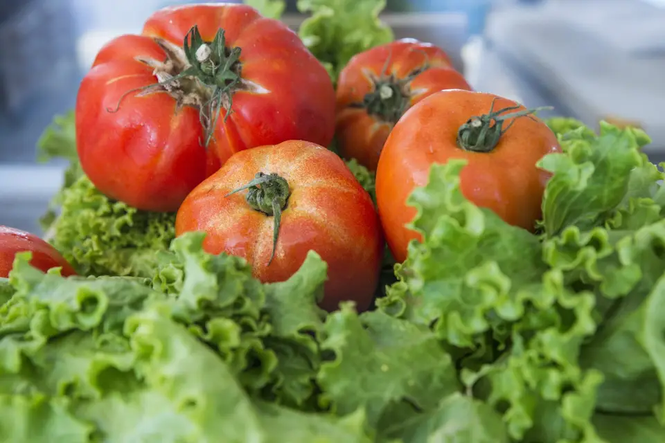 Le First — photo 1