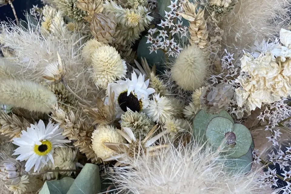 Fleurs Raison — photo 8