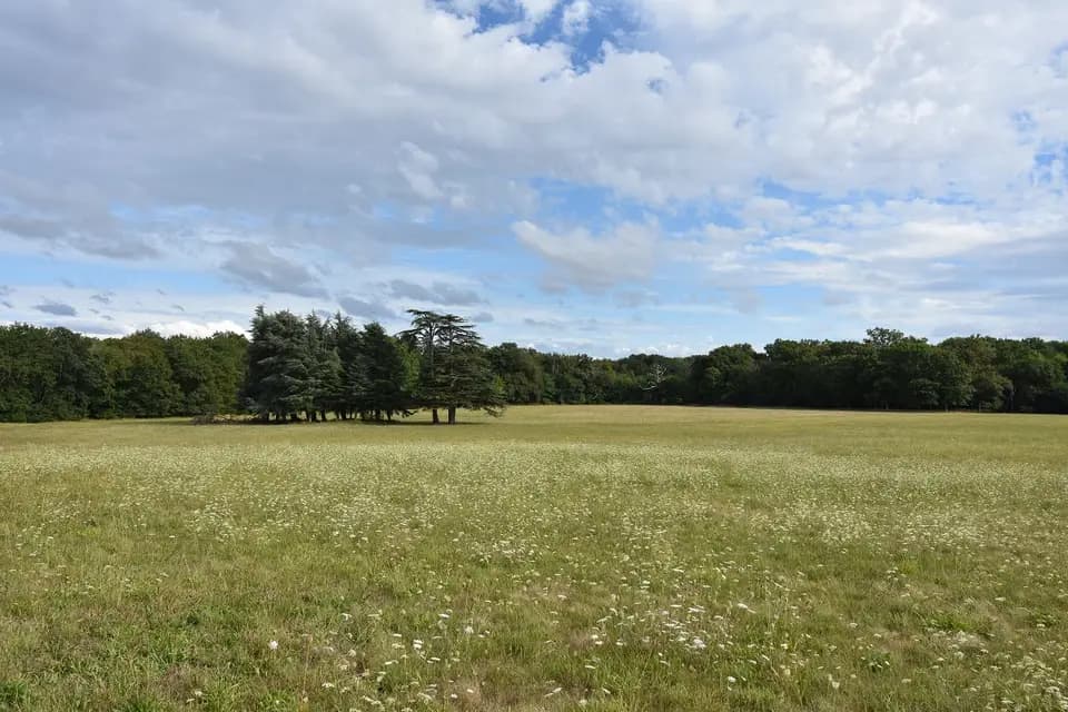 Château de La Pervenchère — photo 7