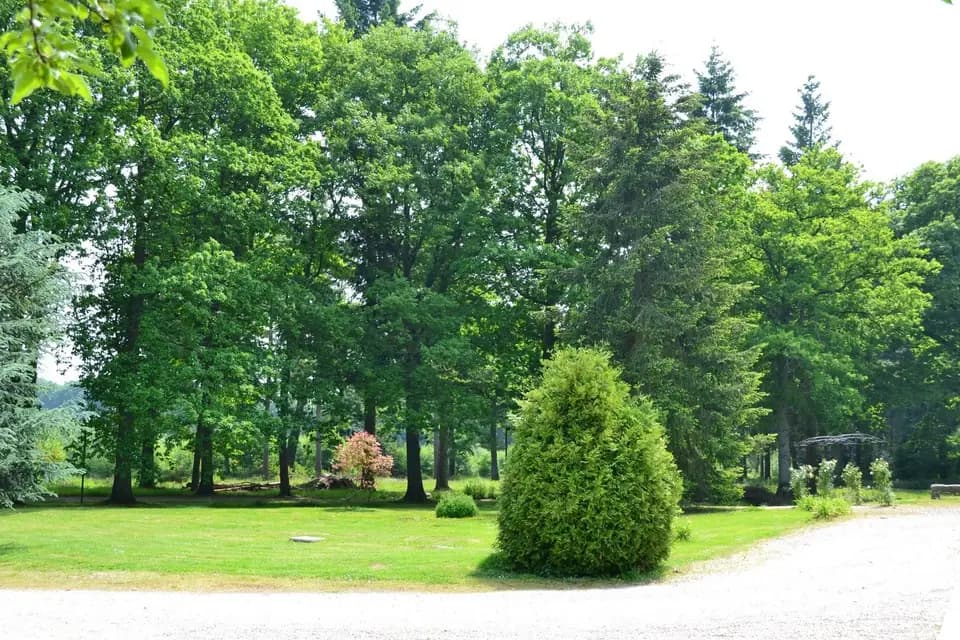 Le Domaine de la Chesnaie — photo 5