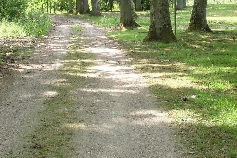 Le Domaine de la Chesnaie — photo 6