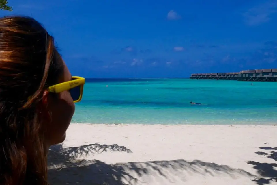 Le Chemin Des Voyageurs — photo 3