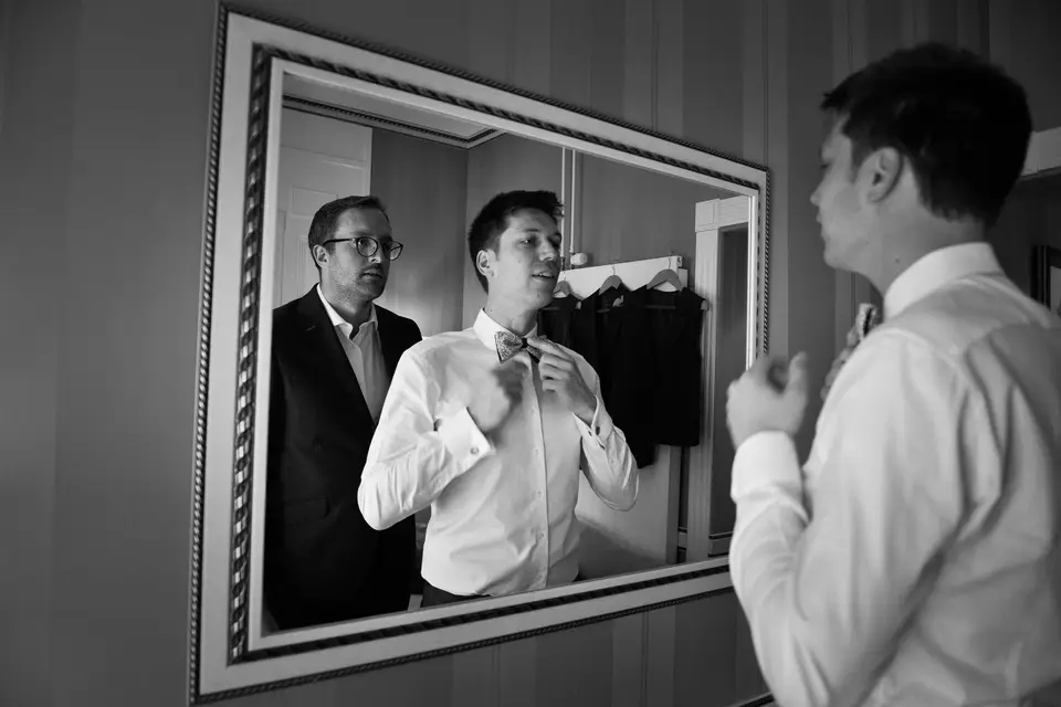 Pixeldog — photo 5