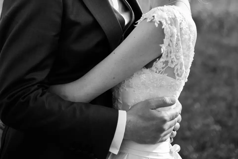 Pixeldog — photo 6