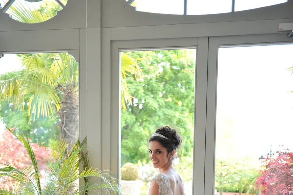 Pixeldog — photo 1