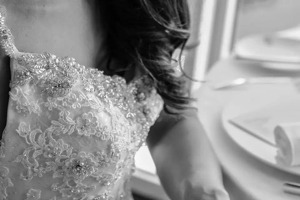 Pixeldog — photo 4