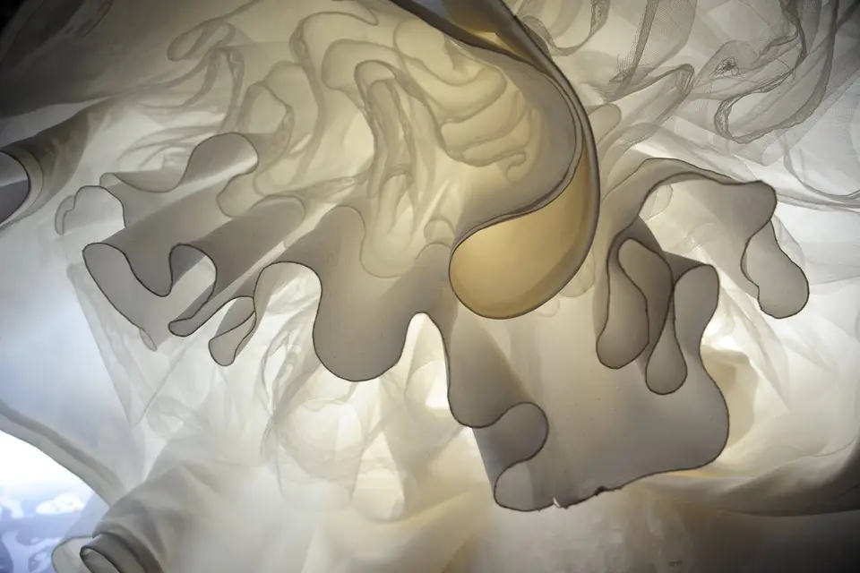 Pixeldog — photo 8