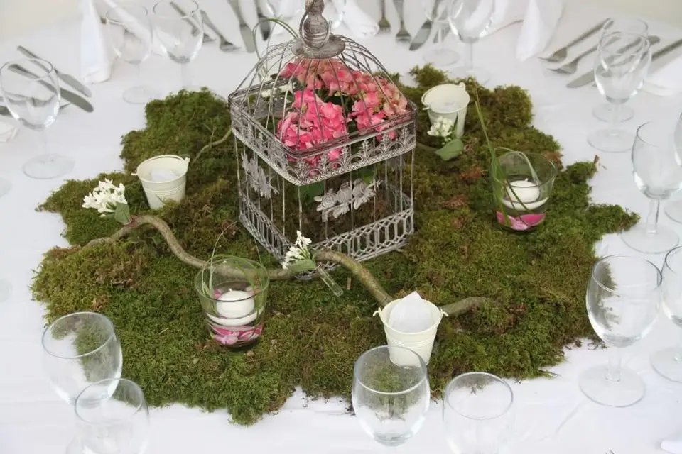 Le monde d'Anaïde — photo 6