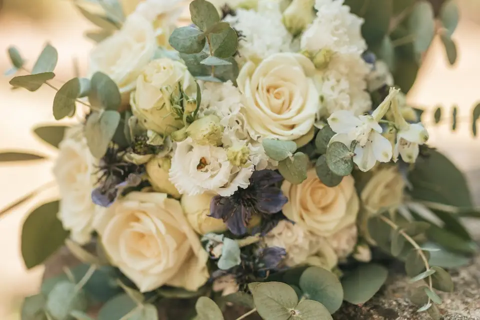 Le monde d'Anaïde — photo 5