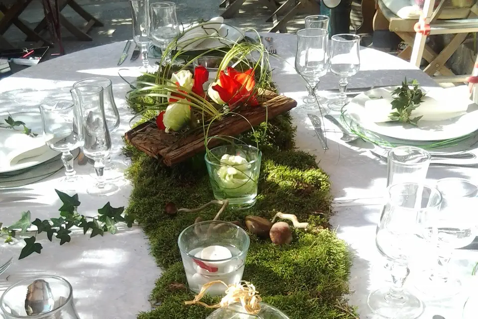 Le monde d'Anaïde — photo 8