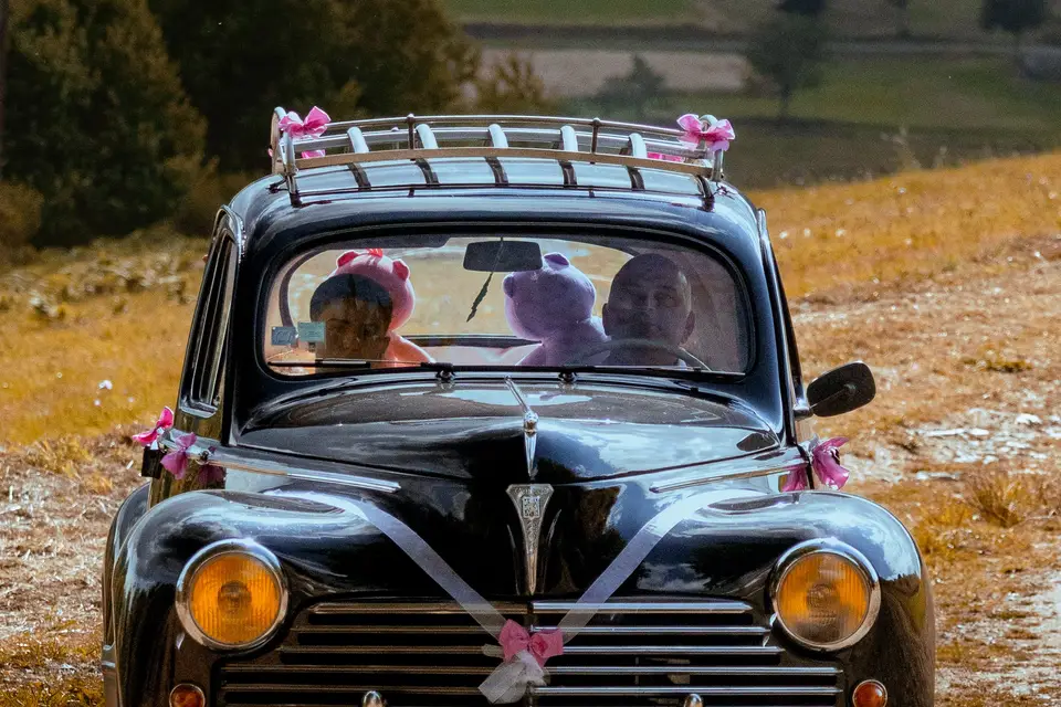 ISAD Photo — photo 6