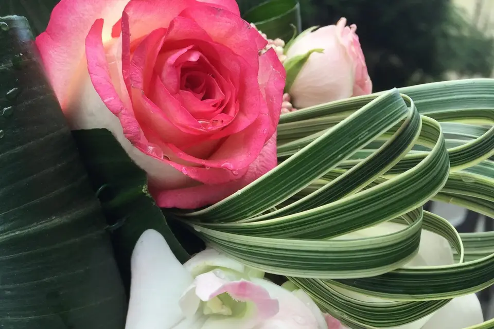 Fleurs des Fauvettes — photo 4