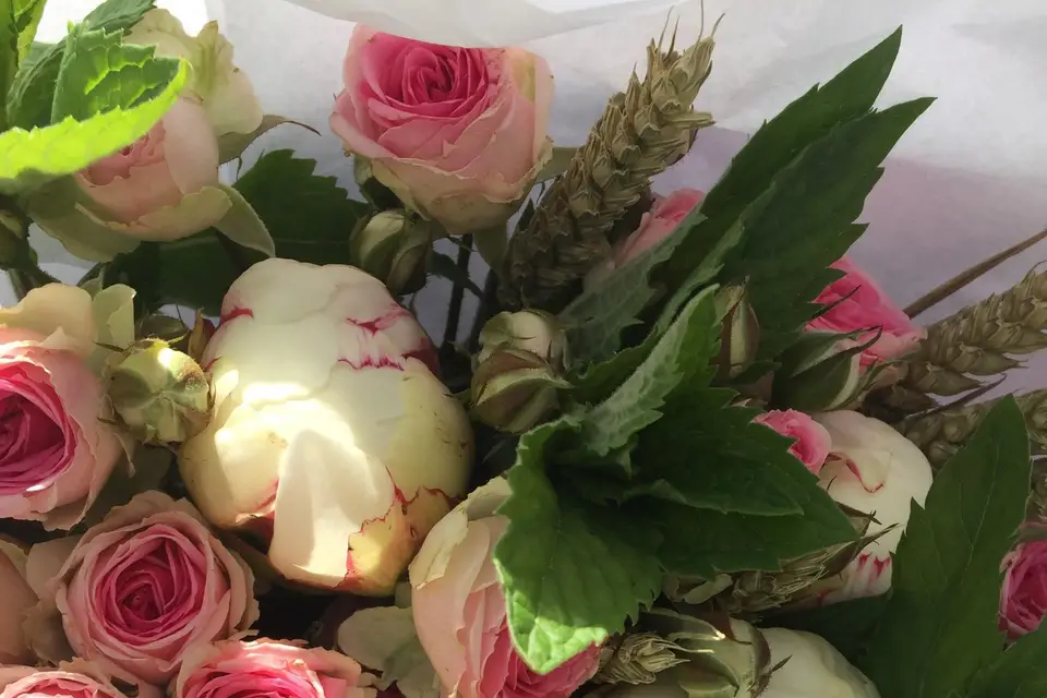 Fleurs des Fauvettes — photo 5