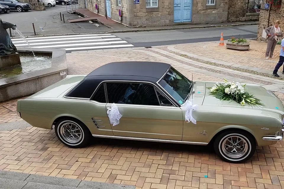 Mustang66 — photo 2