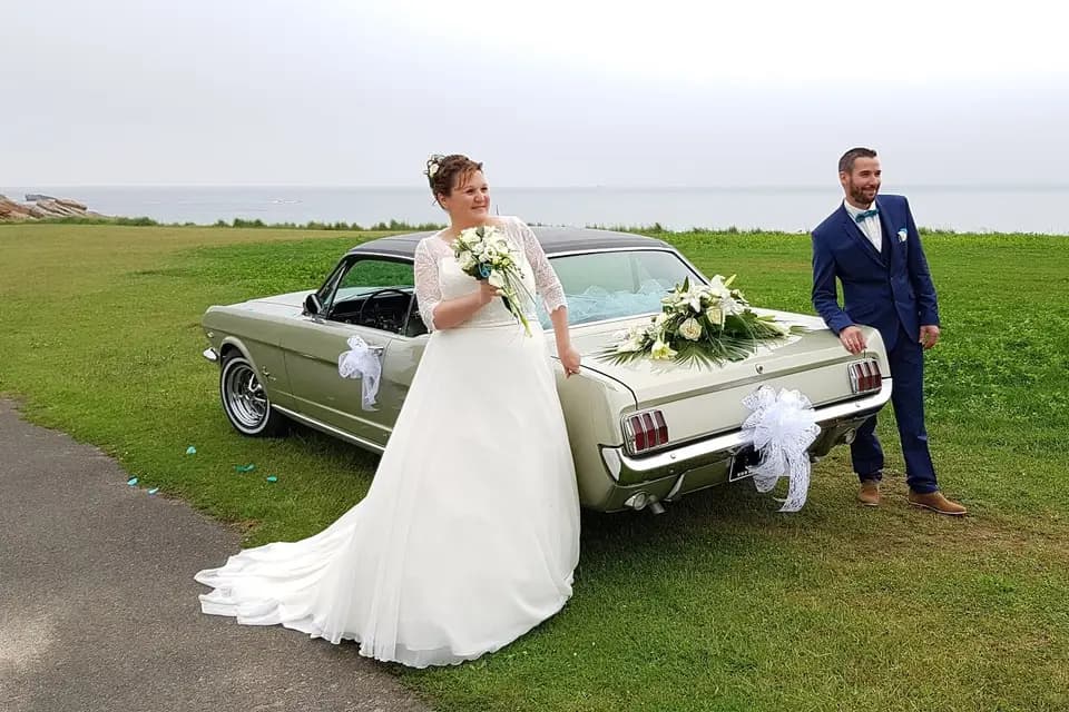 Mustang66 — photo 3