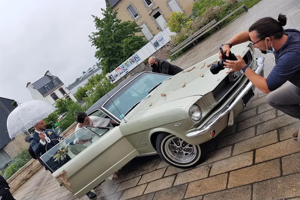 Mustang66 — photo 6