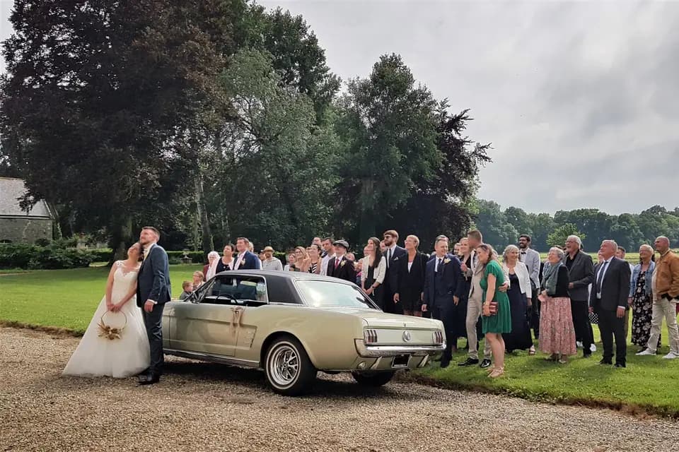 Mustang66 — photo 7