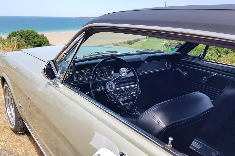 Mustang66 — photo 8