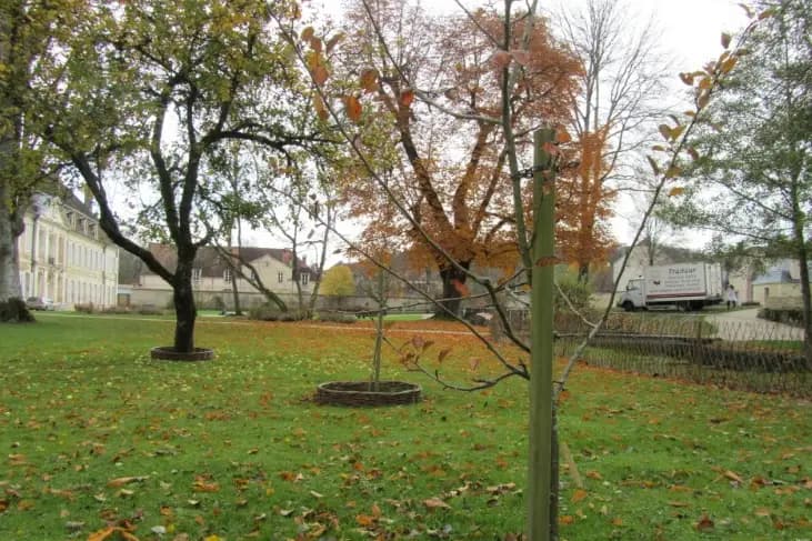 Abbaye Auberive — photo 6