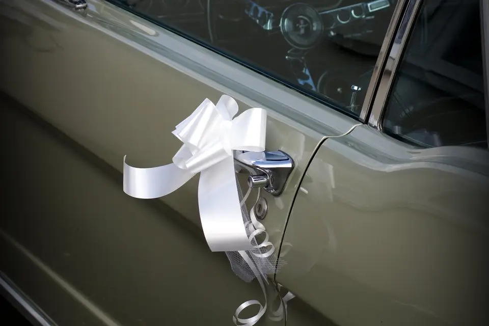 Mustang66 — photo 5