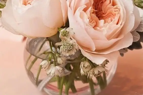 L’Atelier — photo 3