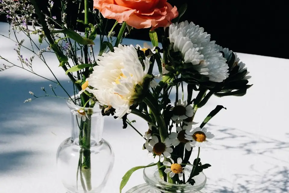 Emma Pitti-Ferrandi — photo 3