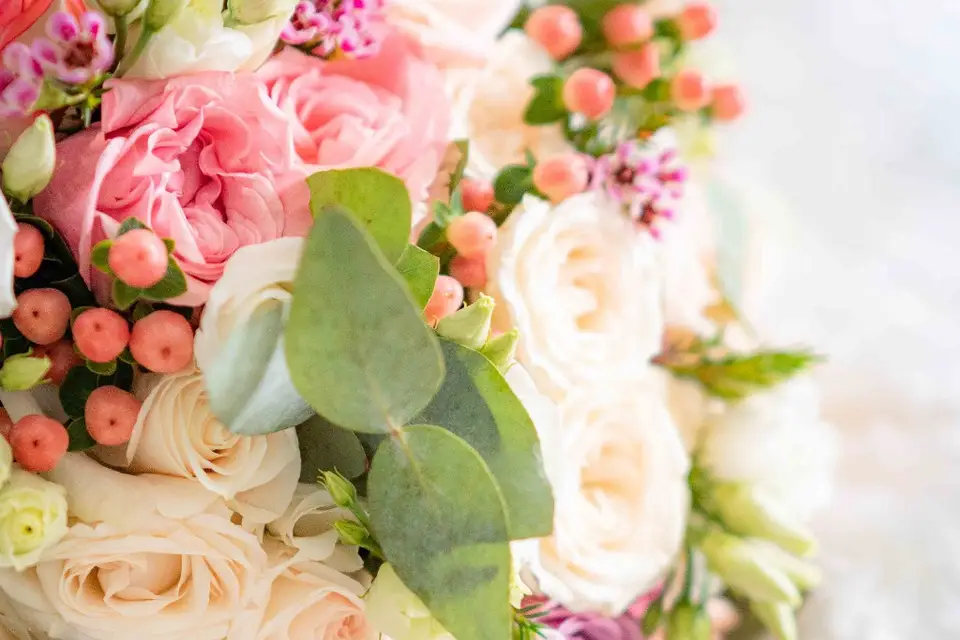 Voijesty — photo 1