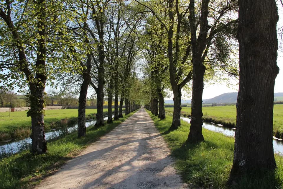 Abbaye de Reigny — photo 7