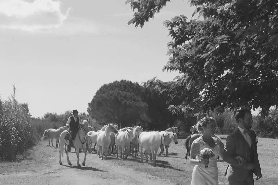 La Jasse du Daladel — photo 5