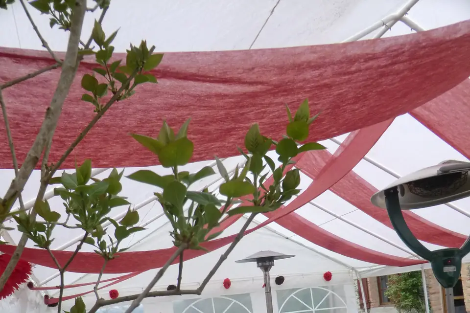 Les Tables d'Isa — photo 8