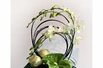 Les Fleurs et Moi — photo 4