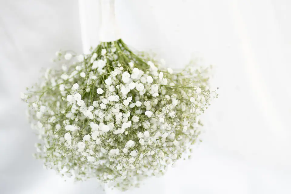 Maison Nuances — photo 1