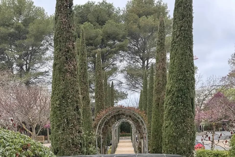 Dream Car Sud VTC — photo 5