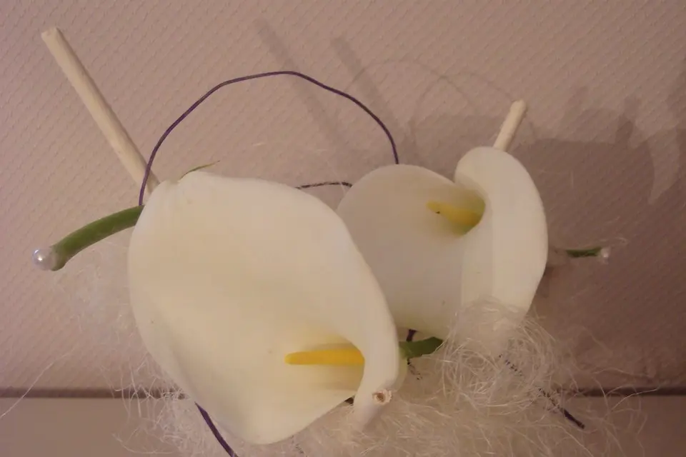 Cline Décoration Florale — photo 7