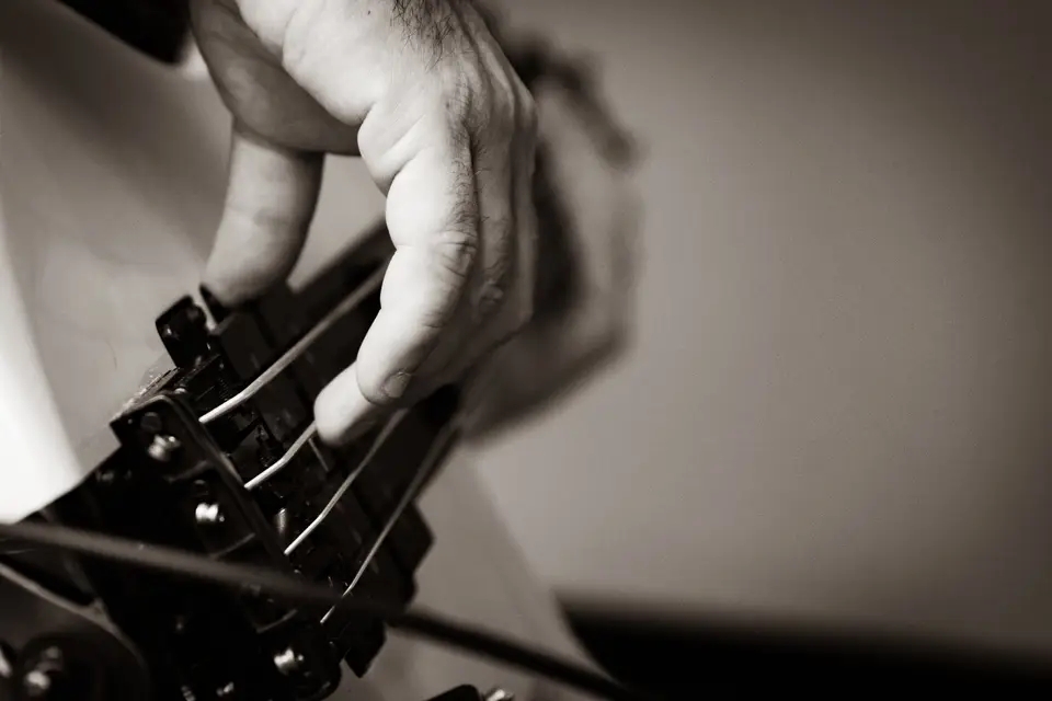 The Lobsters — photo 3