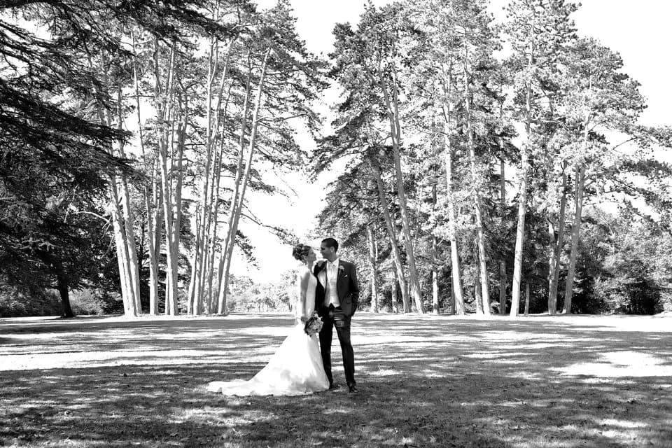 Panorama Photos — photo 2