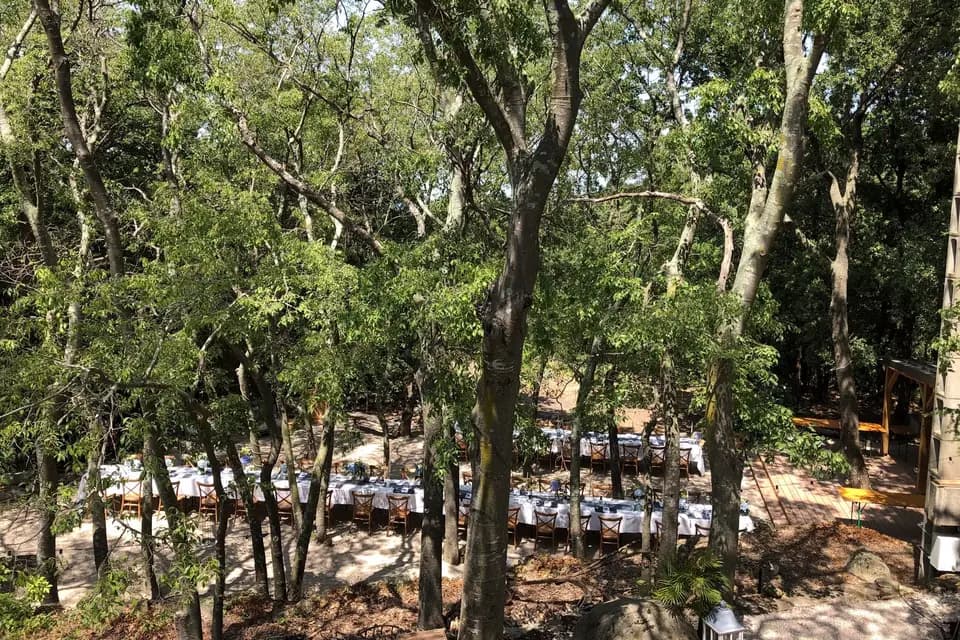 Mas Del Ca — photo 7