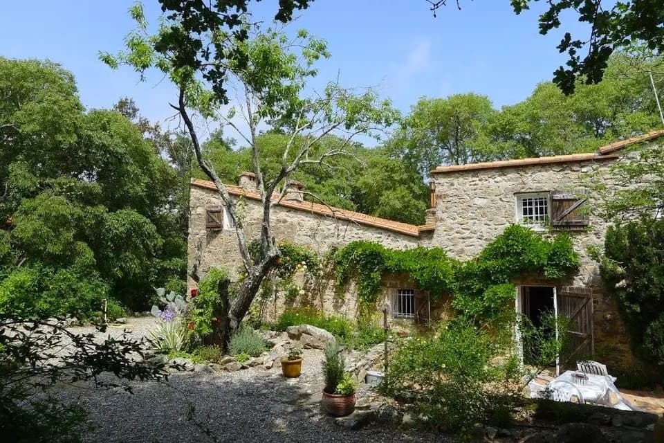 Mas Del Ca — photo 3