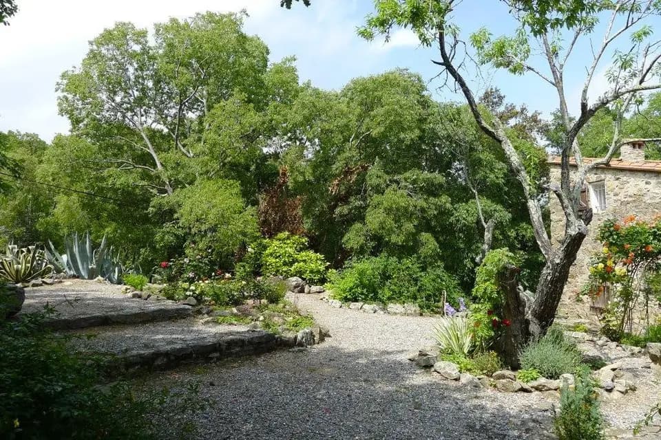 Mas Del Ca — photo 4