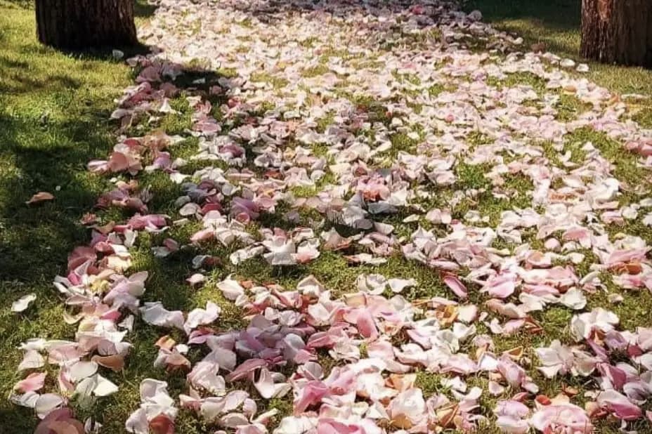 Le Bouquet de Carole — photo 2