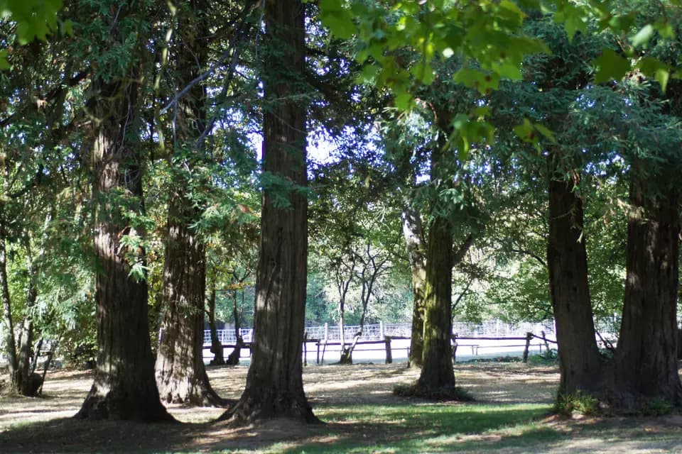 Domaine de la Pinelais — photo 6