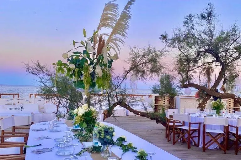 Bambusa Plage — photo 3