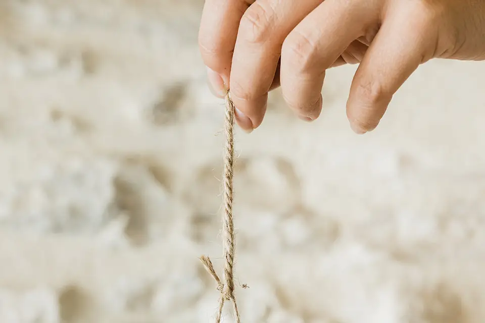 Terre Ugo Maison de Lavande — photo 5