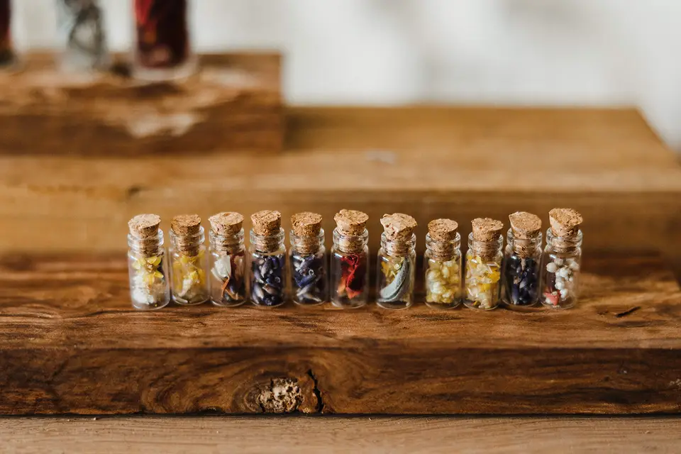 Terre Ugo Maison de Lavande — photo 8