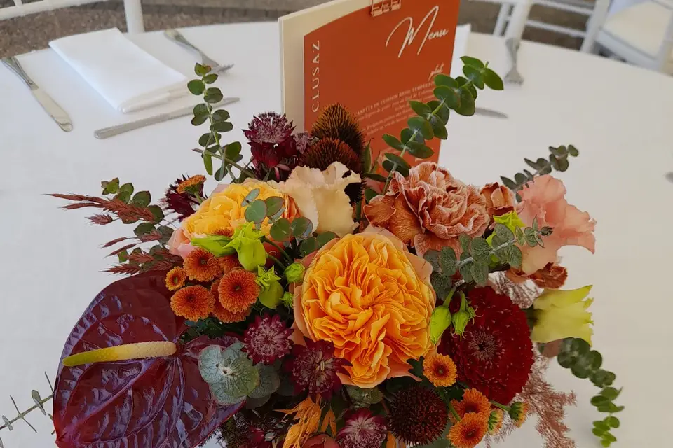 Papillon Création — photo 7