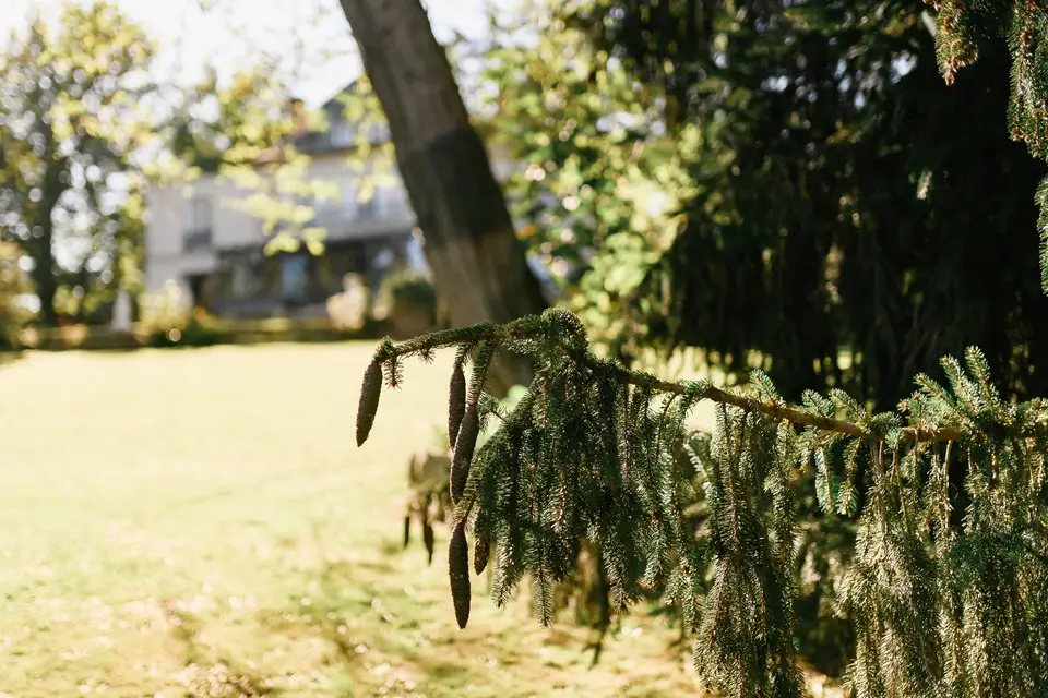 Villa Clairemaison — photo 2