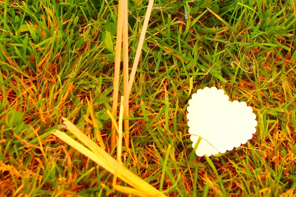 Farrabado' — photo 8