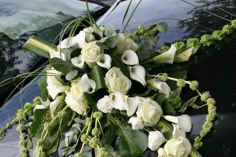 Farrabado' — photo 3