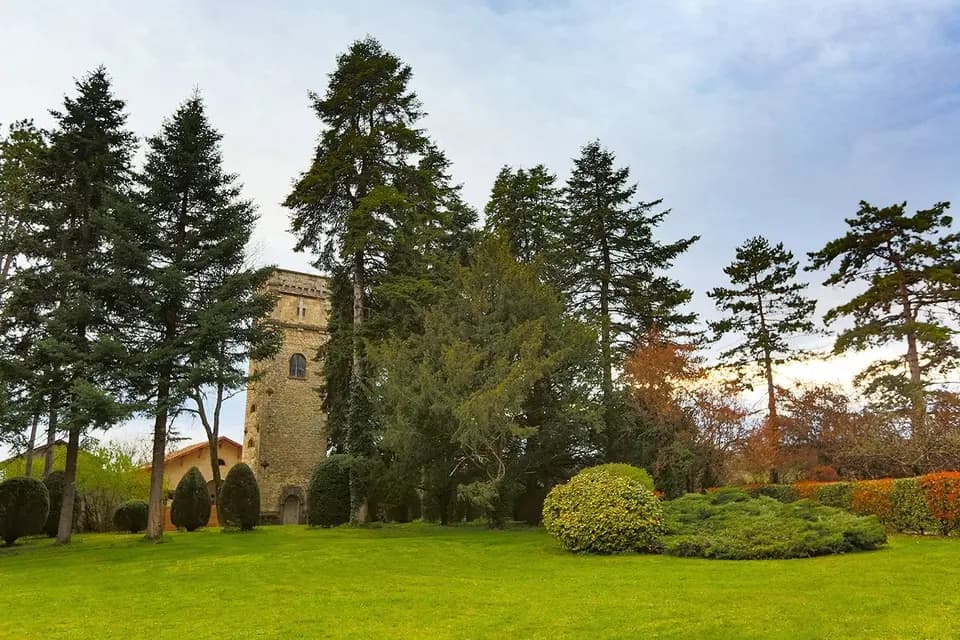 Domaine des Cèdres — photo 4